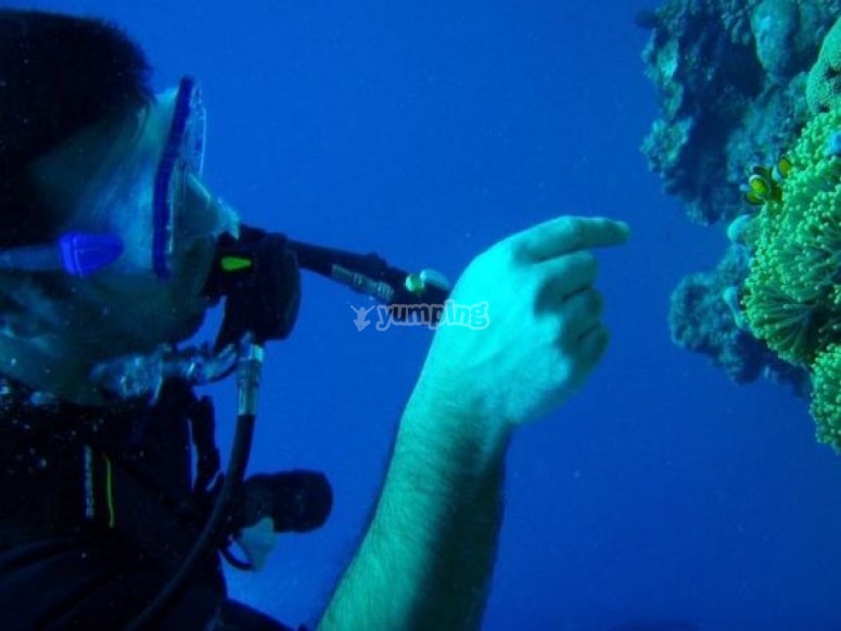 Acércate a las especies marinas Acércate a las especies marinas